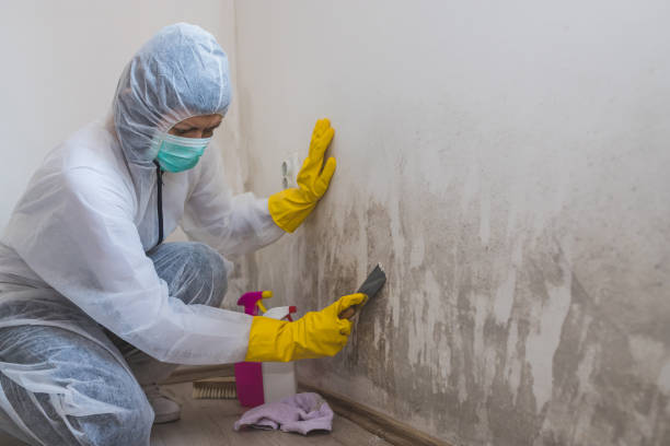 Crawl Space Mold Removal in North Lindenhurst, NY