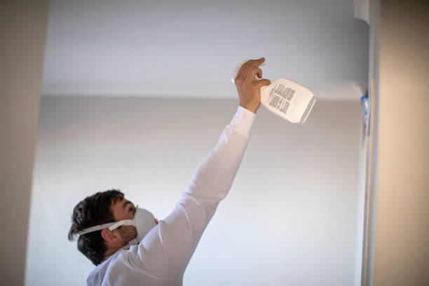 Best Mold Testing  in North Lindenhurst, NY