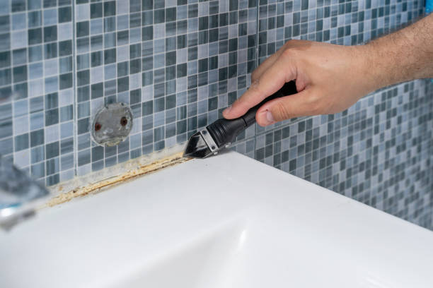 Best Commercial Mold Removal  in North Lindenhurst, NY