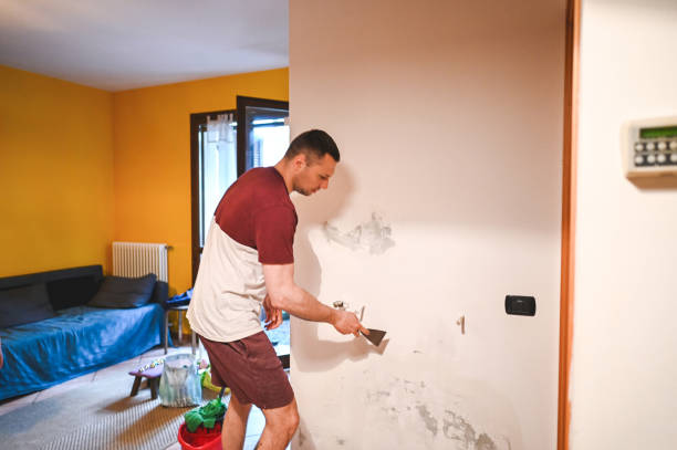Best Residential Mold Removal  in North Lindenhurst, NY